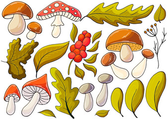 Autumn illustration in hand drawn style. Children's drawing