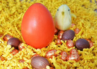 Easter Chicken with Orange and Chocolate Egg with yellow background - obrazy, fototapety, plakaty