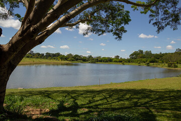 Paisagem de um parque muito arborizado e um lago, na cidade de Goiânia. Parque Leolidio di Ramos...