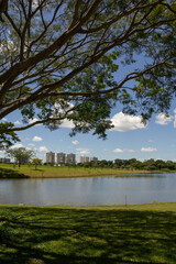 Paisagem de um parque muito arborizado e um lago, na cidade de Goiânia. Parque Leolidio di Ramos Caiado.