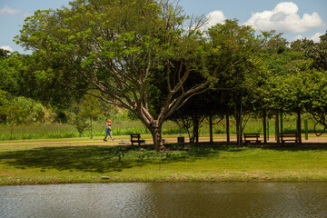 Paisagem de um parque muito arborizado e um lago, na cidade de Goiânia. Parque Leolidio di Ramos...