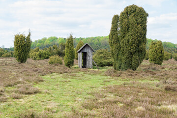 Lüneburger Heide im Frühjahr