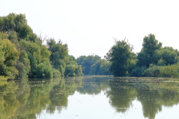 a small river channel in the Danube Delta