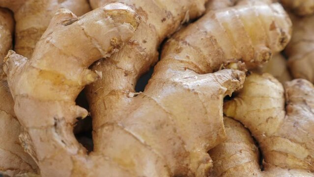 Roots of ginger. Closeup shot. Rotating