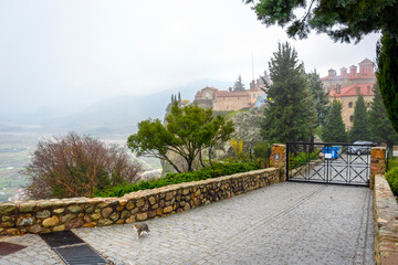 A small stray kitten walks the road leading from Saint Stephen's Monastery in the Unesco World Heritage site of Meteora, Greece.