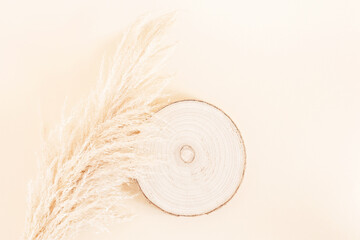 Fototapeta na wymiar Dry pampas grass reeds and wooden circle on beige background. Neutral earthy colors. Minimal, eco-friendly monochrome concept. Flat lay, top view, empty place.