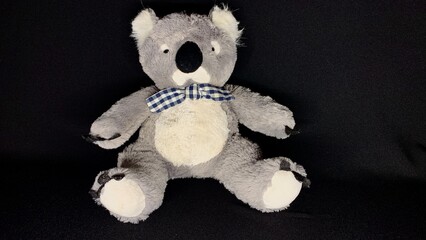 Plush soft toy koala as a symbol of Australia and rare animals affected by fires asks to save her life