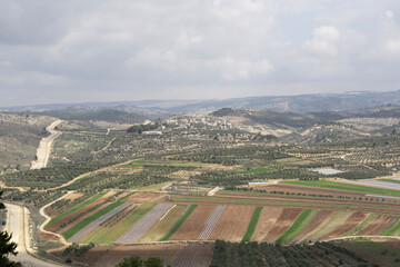 Judea and Samaria landscape, Israel-Palestine
