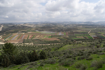 Fototapeta na wymiar Judea and Samaria landscape, Israel-Palestine