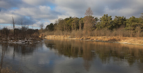 Fototapeta na wymiar Reflection of trees in the river