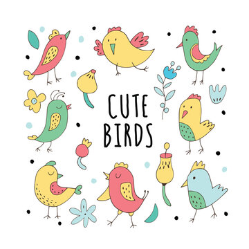 Cute cartoon birds - funny vector set.
