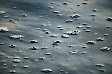 Wasserblasen