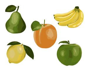 Vector set of fruits in green and yellow colors, apricot, apple, pear, banana and lemon