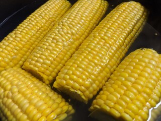 Sweet corn cob boiled in hot water. Vegetarian organic ripe food.