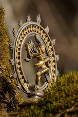 Shiva Nataraja - bronze statue of indian dancing god - Lord of Dance close up on a blurred nature background