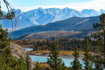 Colourful view looking over river, mountains and trees from high up during Alberta autumn