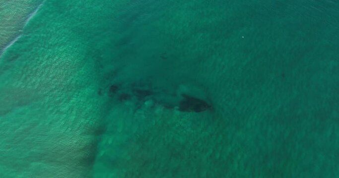 The  shipwreck of the Dellie or Apple Wreck as it is called just behind the breakers on Fingal Beach near Tweed Heads. Wrecked in 1941. Appears and disappears with the currents. Drone view from above