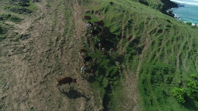Drone Mandalika Island 13