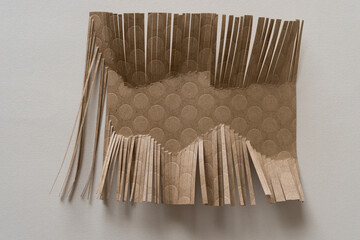 brown paper with fringe or abstract object on gray paper