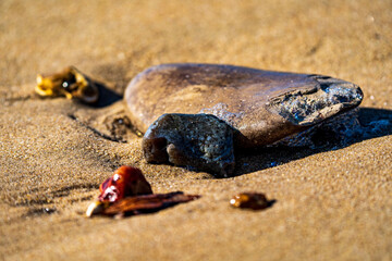 Washed Up Stones On Beach