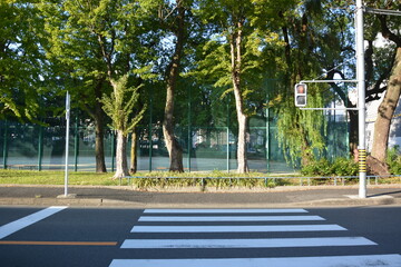 横断歩道