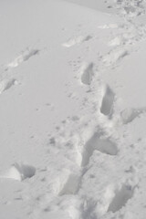 Footprint on the snow