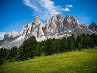 High Meadow in the Dolomites of Italy