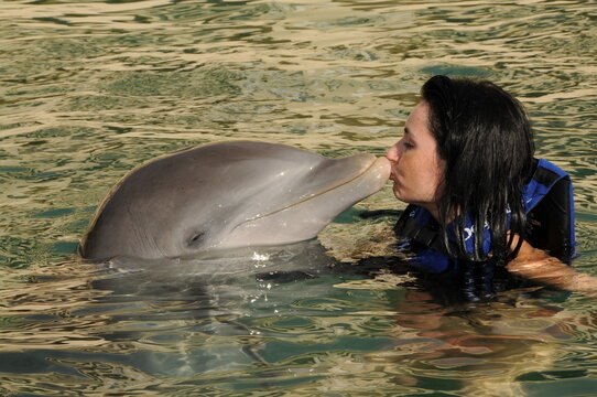 Woman With Dolphin