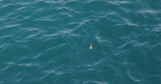 Fishing float sway on surface of sea water