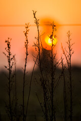 sunset on the lake