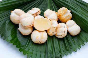 Toddy palm on green leaves