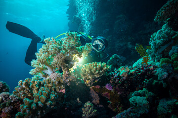 Fototapeta na wymiar Soft Coral Reef in Underwater Torch Light of Scuba Diver