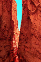 A hiker enjoys the view from the bottom of a slot canyon called Wall Street in Bryce Canyon National Park