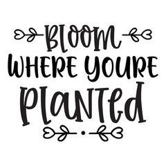 bloom where youre planted svg