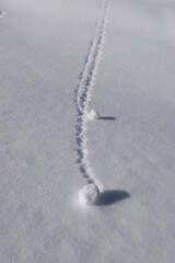 Trails in snow created by tiny snow balls