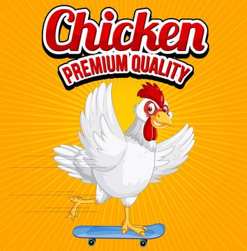 Chicken premium quality banner with white chicken cartoon character