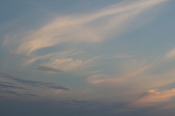 Naklejka na ściany i meble Skyscape background of fine wispy white summer clouds in a pale blue sunset sky