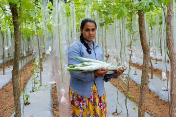 Farmer with his plantation and vegetation in agriculture