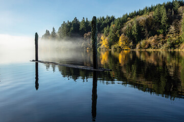 Dock Pilings and Lake Reflections