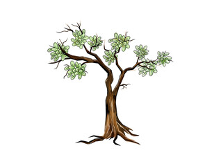 oldest tree vector illustration isolated on white