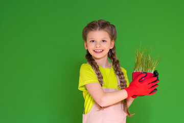 The joyful kid holds a flower pot with sprouted wheat and smiles. House plants. Care of indoor...