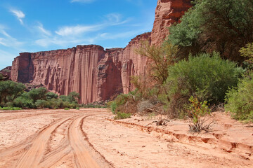 Dry riverbed and steep sandstone cliffs in the Talampaya National Park, La Rioja, Argentina.