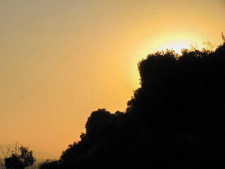 Nature silhouette with a sunset on the background