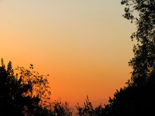 Nature silhouette with a sunset on the background