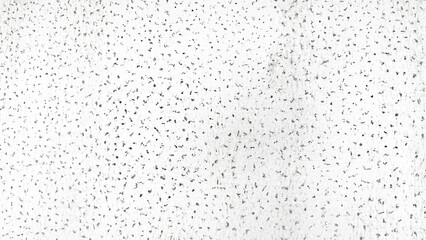 water drops on a glass black and white grunge background 