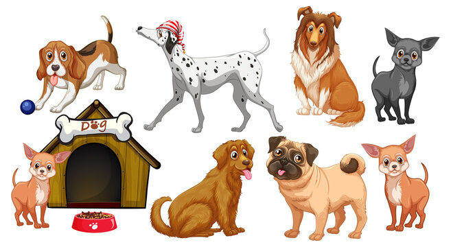 Different dog breeds in cartoon style