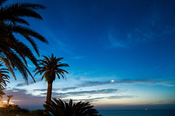 日南海岸から夜明けの海と明けの明星を眺める