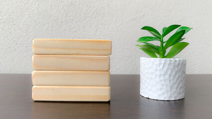 Empty wooden blocks with green plant. Copy space concept