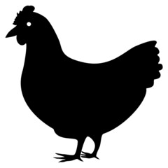 Black hen icon vector.