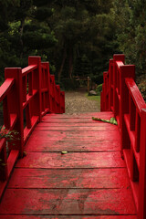 The red bridge in the Japanese garden. Classic Japanese style